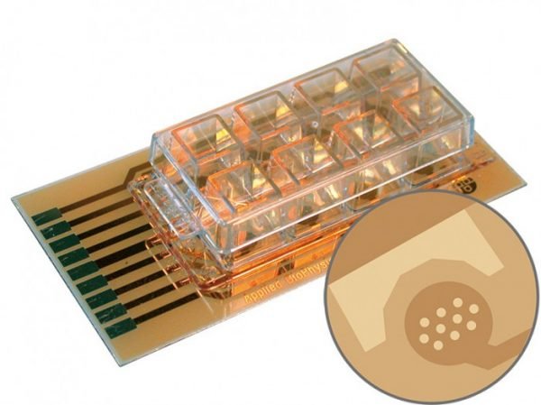 ECIS Cultureware 8W10E PET