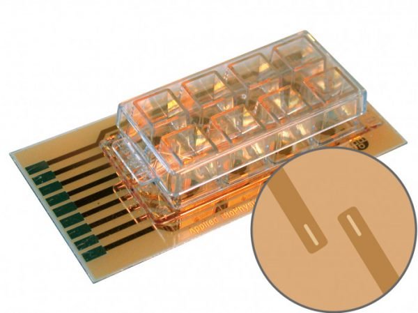 ECIS Cultureware 8W2LE PET