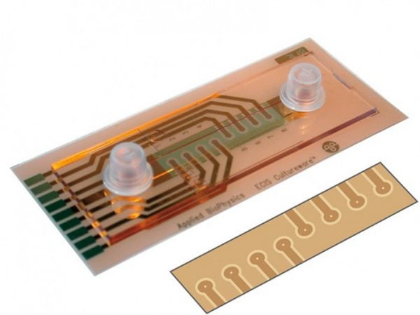ECIS Flow Array 1 Channel µ-Slide with 8x1E (1F8x1E) PC