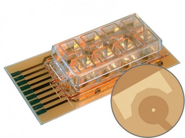 ECIS cultureware 8W1E