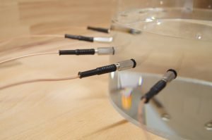 Import, process and visualize Sciospec EIT data in the open-source software EIDORS by taking the example of a standard phantom experiment