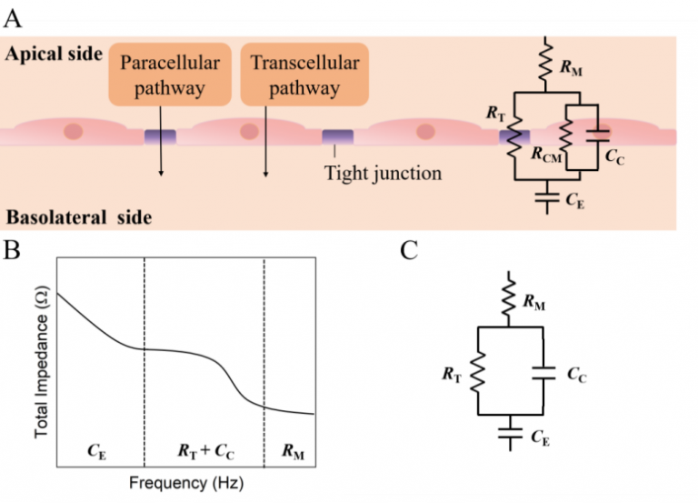 Multi‑Frequency Insights with Sciospec’s ISX‑3