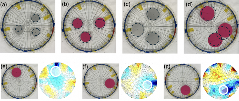 A series of images showing insulating cylinders of various diameters placed at different angular positions inside a saltwater phantom, with parametric EIT reconstructions indicating predicted size and orientation using sparse impedance data collected via the Sciospec EIT128 system.