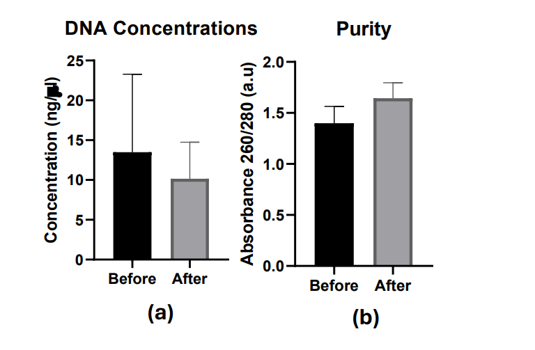 Bar graphs comparing DNA concentration and purity before and after purification using Magnetic Nanoparticles (MNPs) and Electrical Bioimpedance Spectroscopy (EBiS). Shows decreased concentration and improved purity