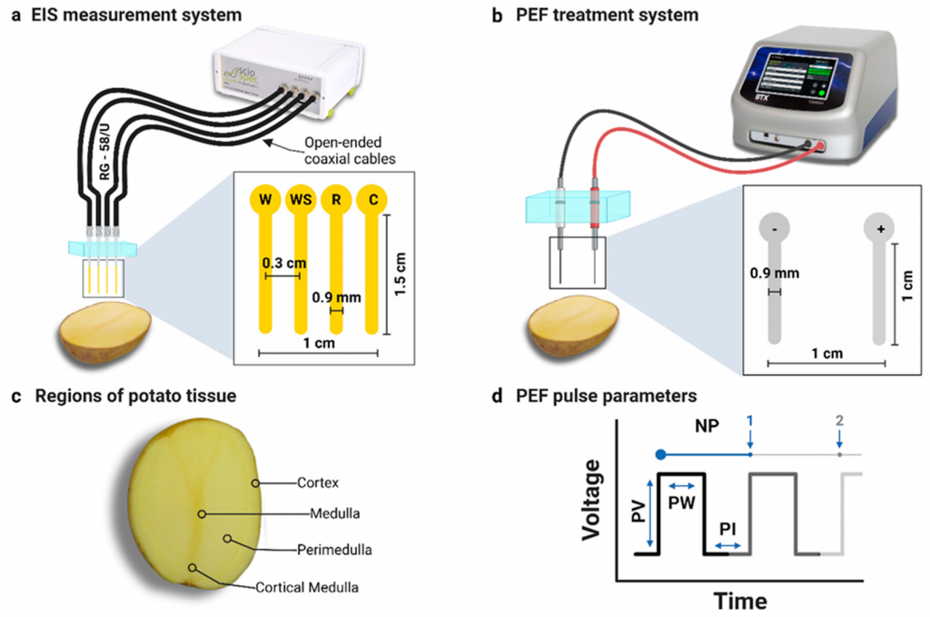 Monitoring Electroporation Effects Using the Sciospec ISX‑3 System