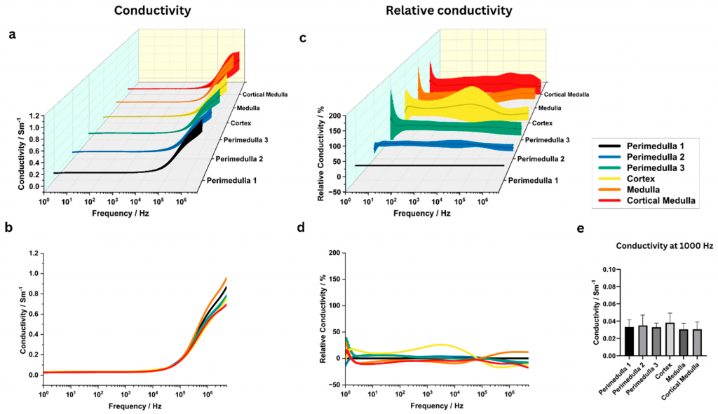 Ethical Electroporation Testing with Plant-Based Models